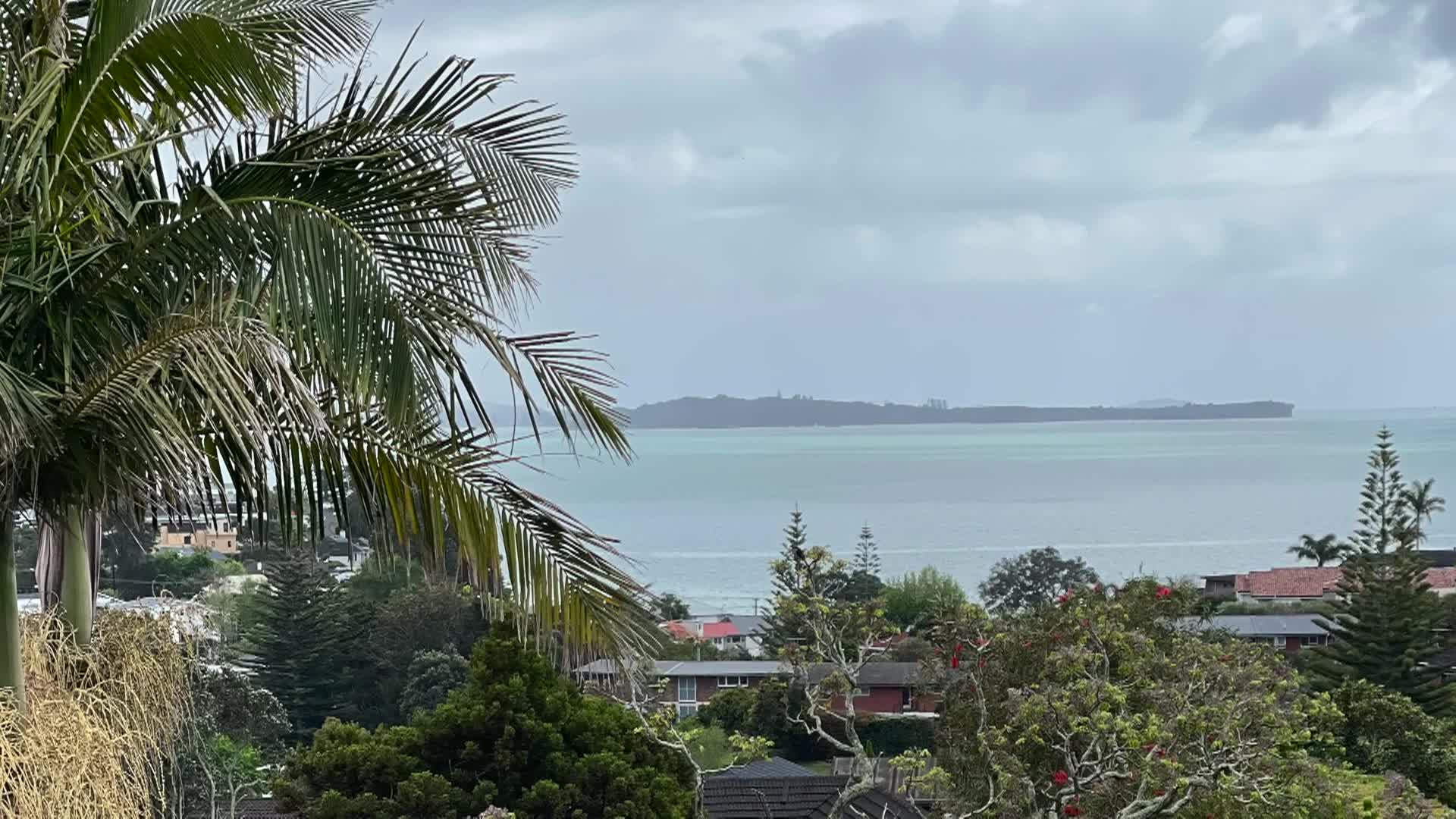 Cooking with Kids: NEW ZEALAND, AUCKLAND PARKS AND ASIAN SOUP